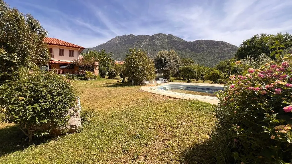 Garden area